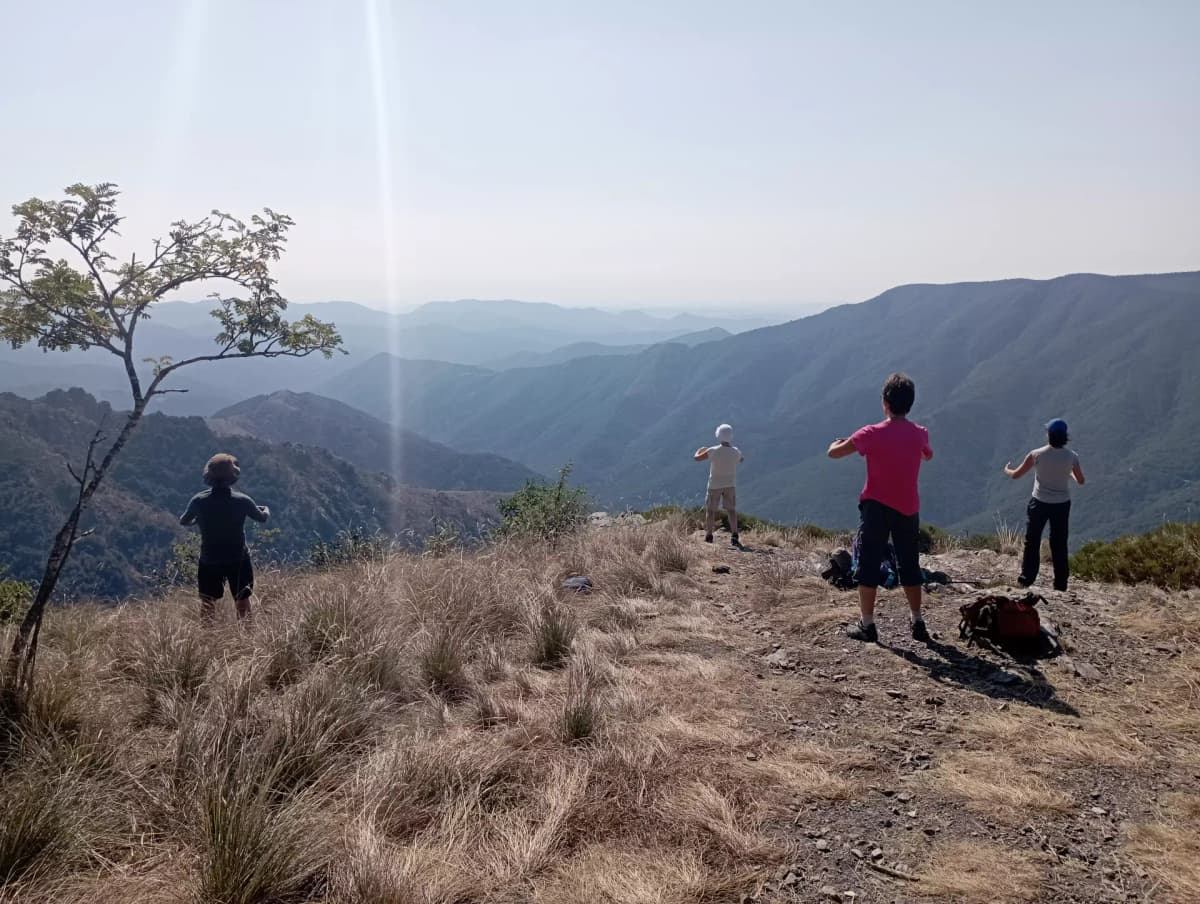 Marche consciente en nature