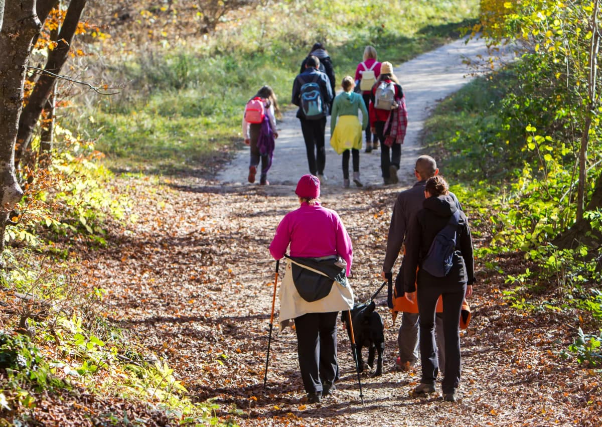 Marche consciente en pleine nature