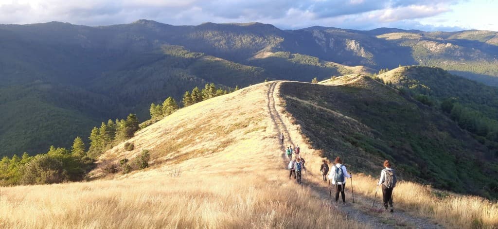 Compostelle Pays Basque — Navarrenx à Roncevaux (18–25 juillet 2026)