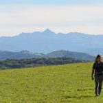 pelerin-au-dessus-de-Charre-avec-le-pic-d-Anie-en-fond-CDT64-P.Gaillard-bdef